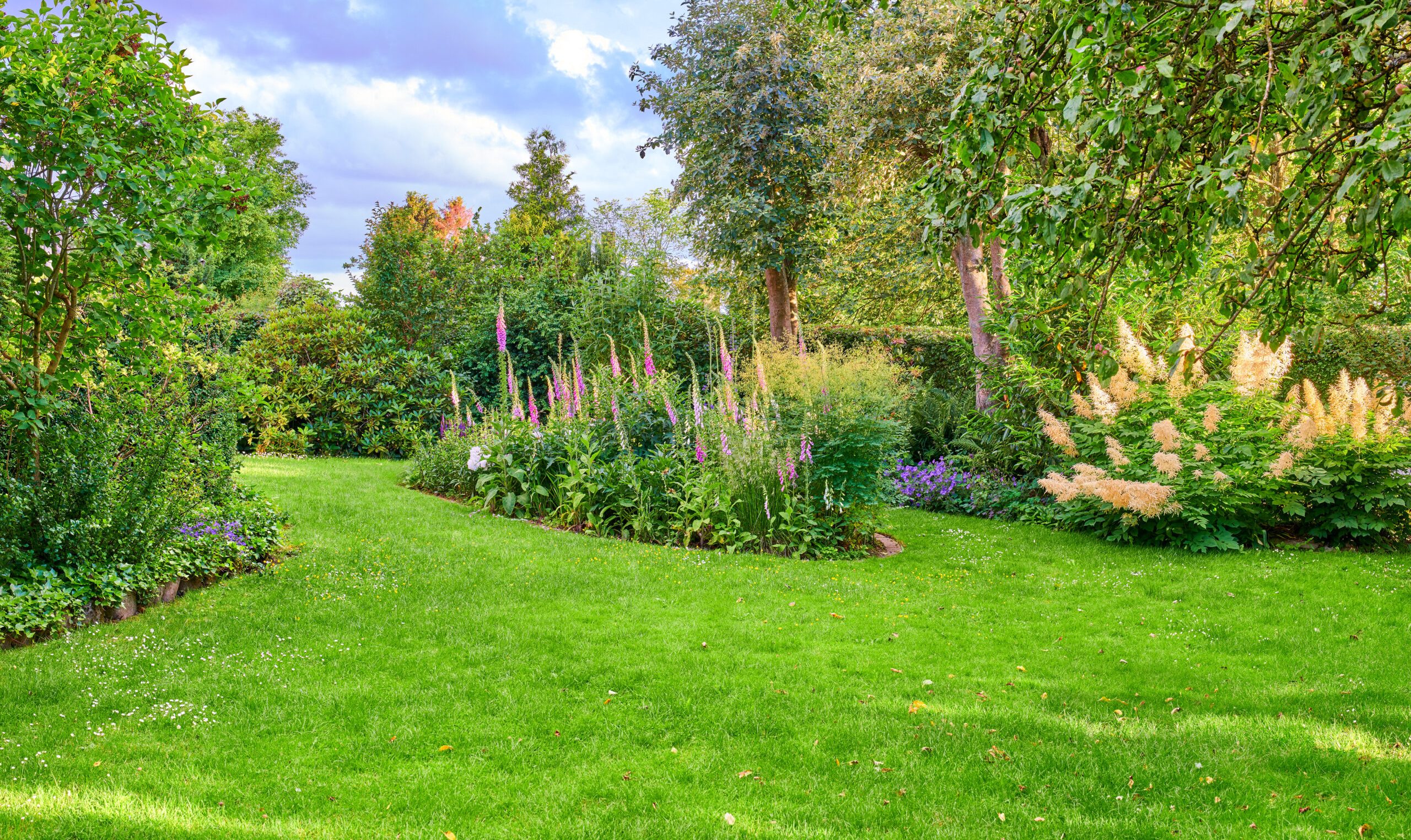 Garden dreams Garden dreams. A series of beautiful garden photos
