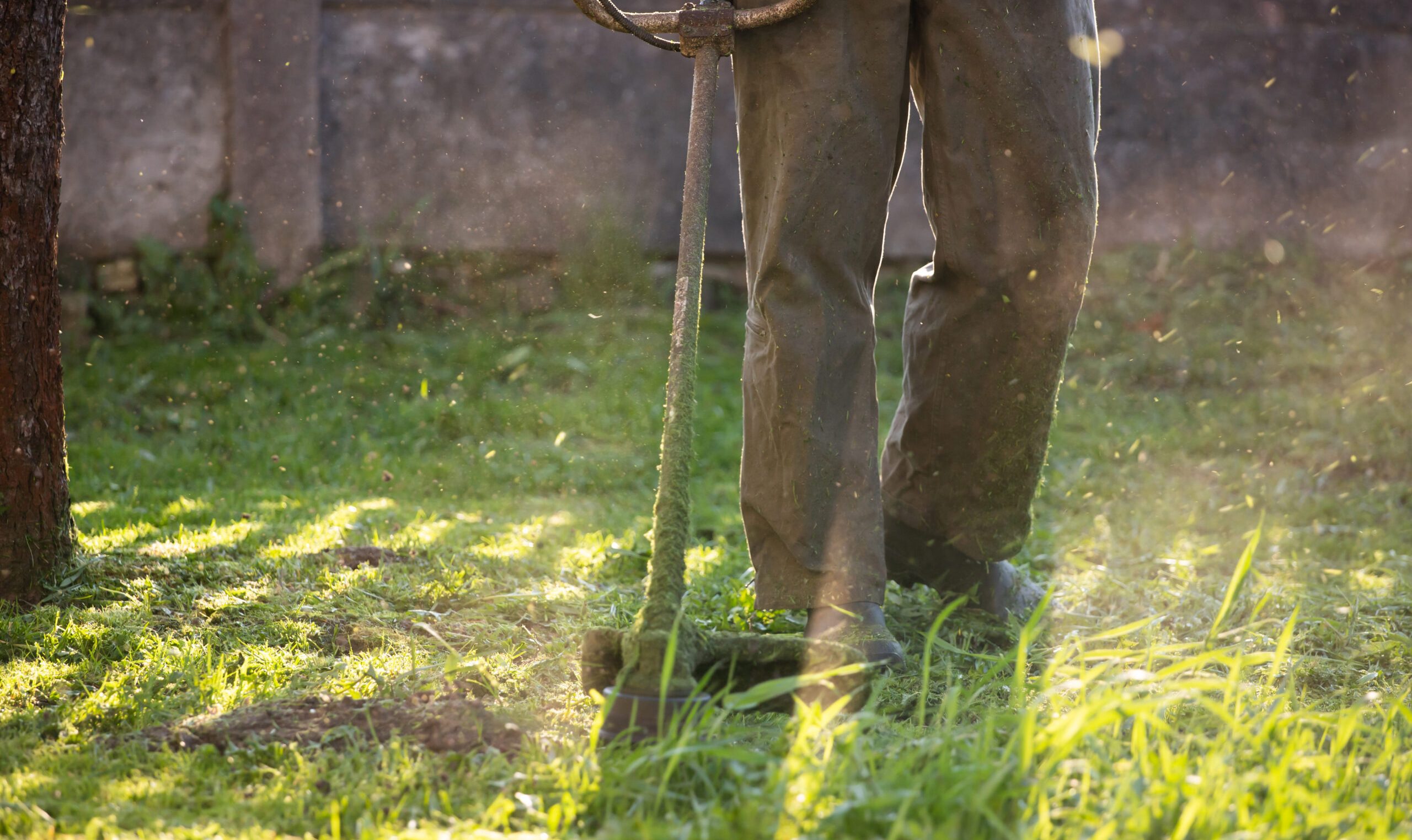 Lawn mover on green grass. Machine for cutting lawns. Mowing the grass with a lawn mower. Garden work concept background.